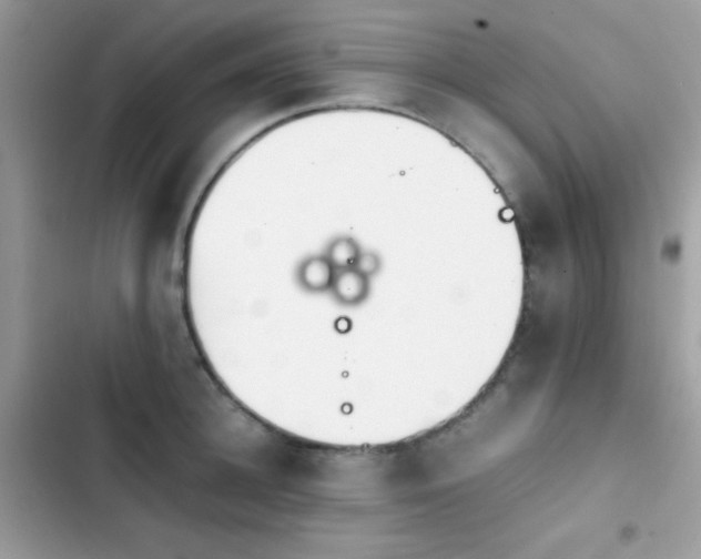 X0000103960948200809191508