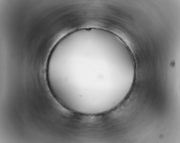 X0000103960949200809191508