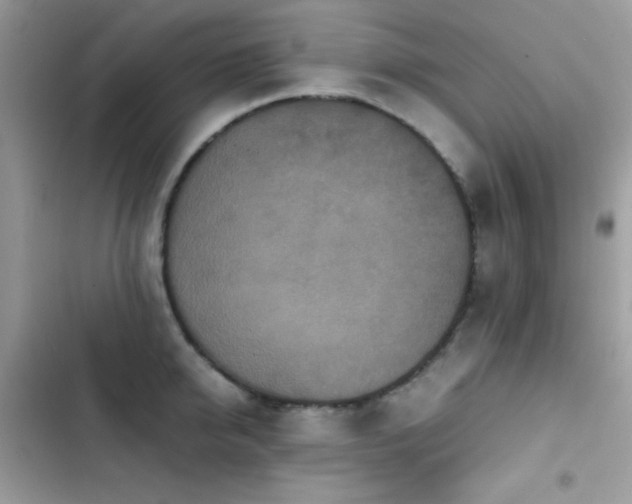 X0000103960950200809191508