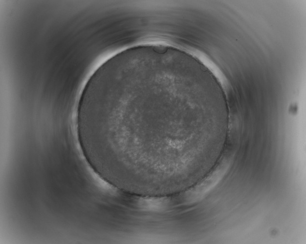 X0000103960951200809191508