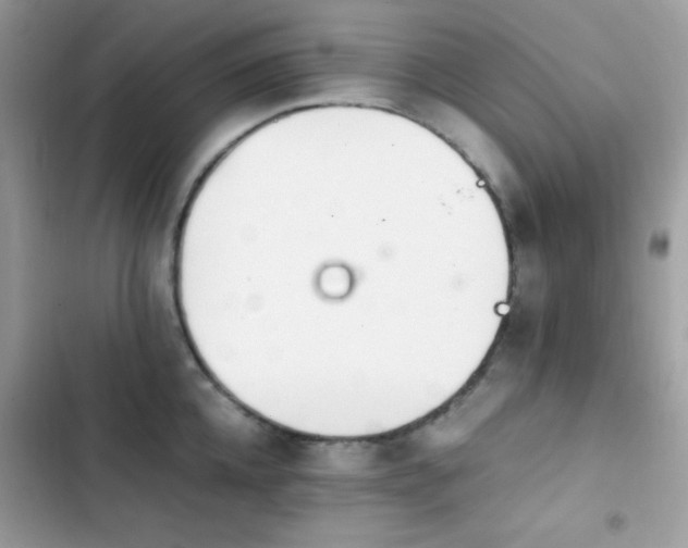 X0000103960952200809191508