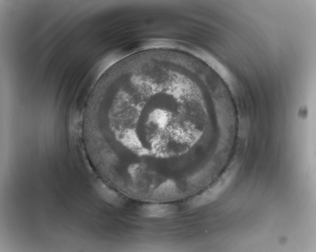 X0000103960953200809191508