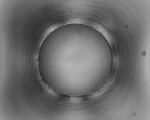 X0000103960954200809191508