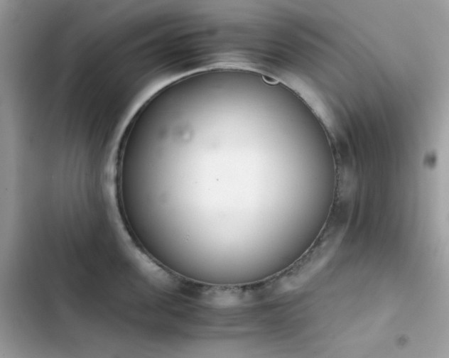 X0000103960955200809191508