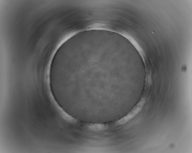 X0000103960957200809191508