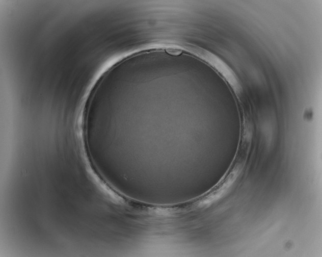 X0000103960958200809191508
