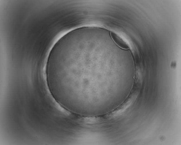 X0000103960959200809191508