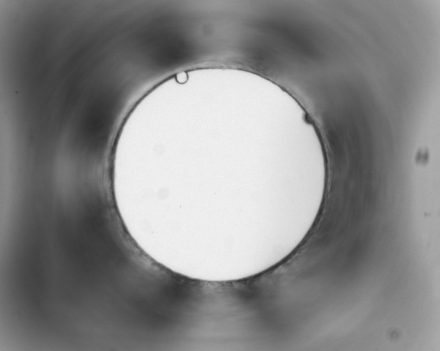 X0000103960960200809191508