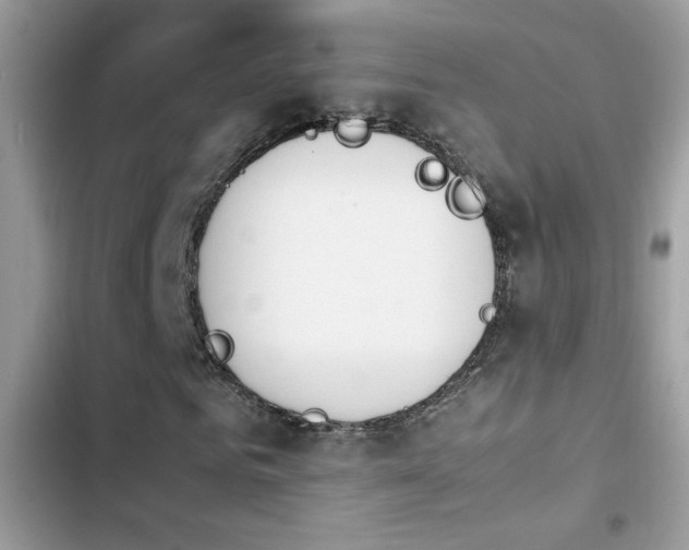 X0000103960961200809191507