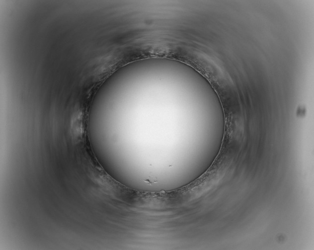 X0000103960962200809191507
