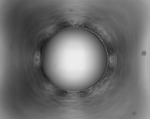 X0000103960963200809191507