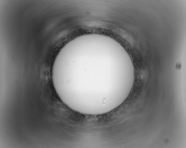 X0000103960965200809191507