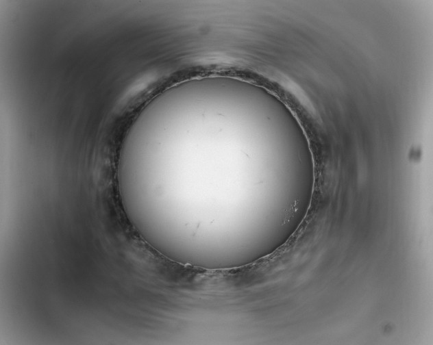 X0000103960967200809191507