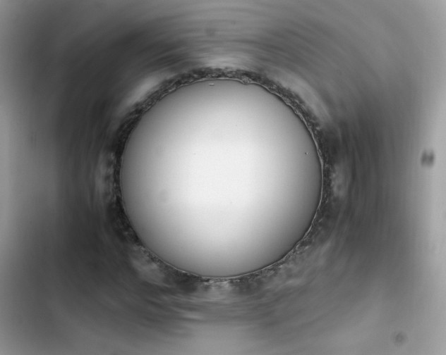 X0000103960968200809191507