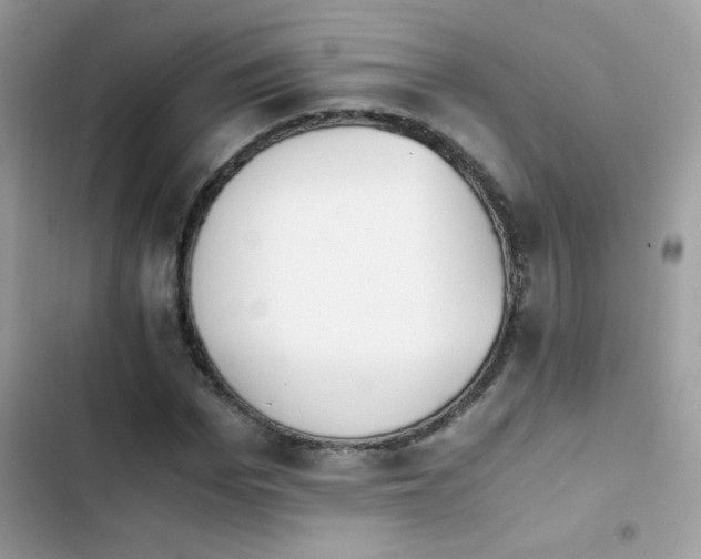 X0000103960969200809191507
