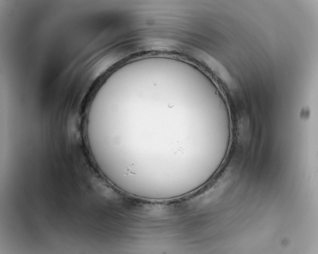X0000103960970200809191507