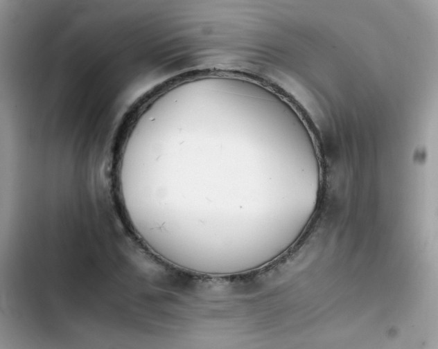 X0000103960971200809191507