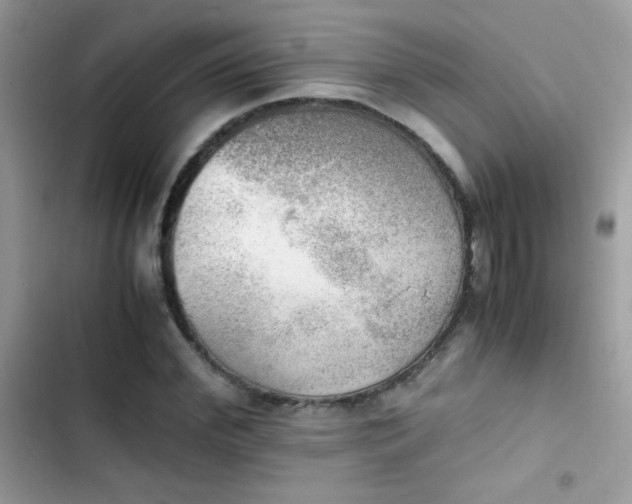 X0000103960972200809191507