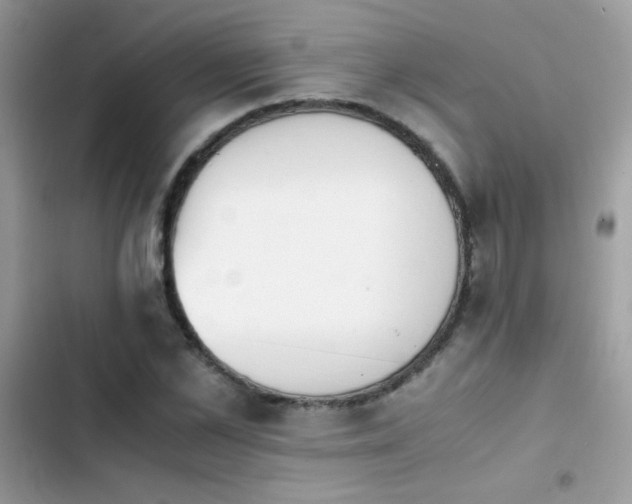 X0000103960973200809191507