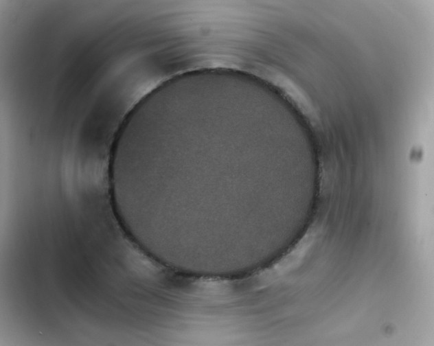 X0000103960977200809191507