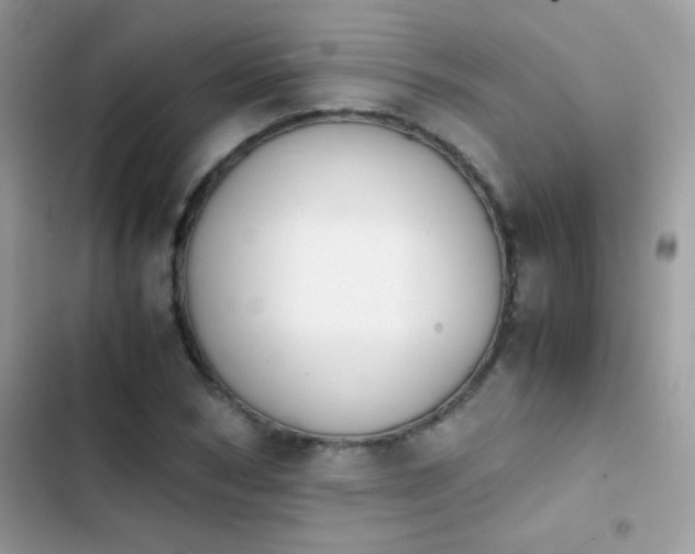 X0000103960978200809191507