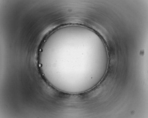 X0000103960979200809191507