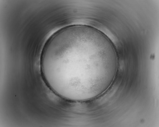 X0000103960980200809191507