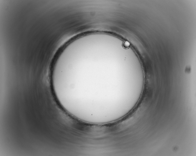 X0000103960981200809191507