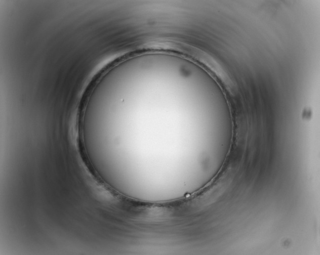X0000103960984200809191507