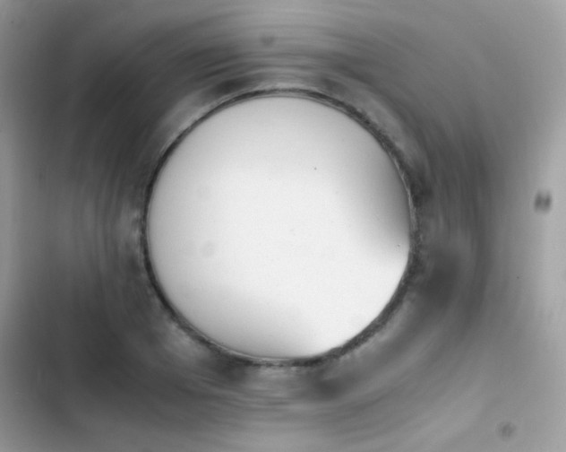 X0000103960985200809191507
