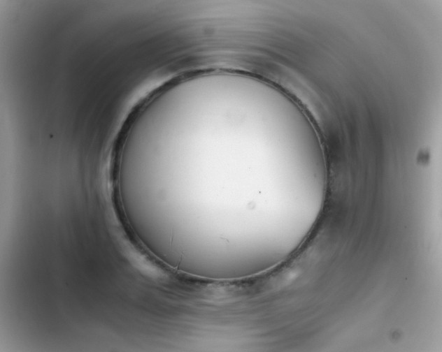 X0000103960987200809191507