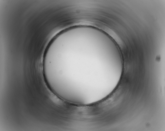 X0000103960988200809191507