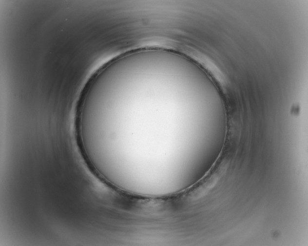 X0000103960991200809191507