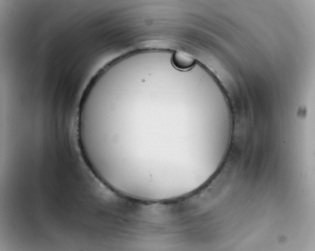 X0000103960992200809191507