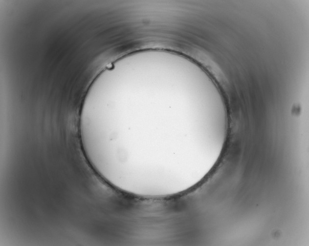 X0000103960993200809191507
