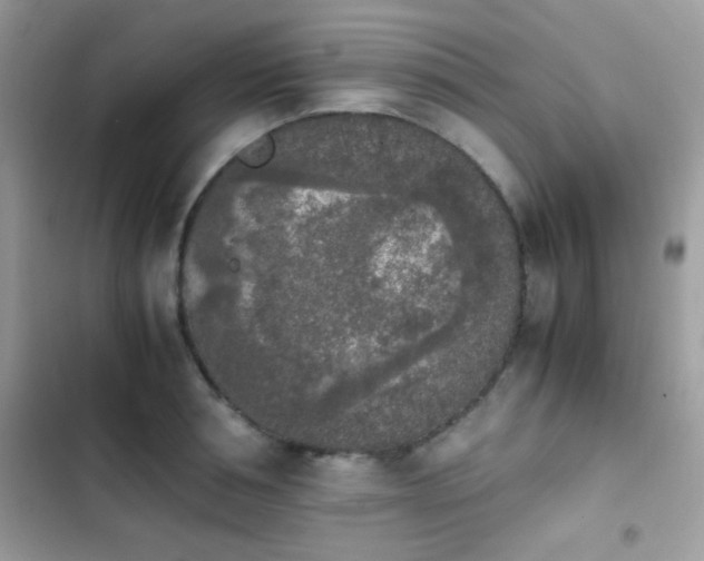 X0000103960994200809191507