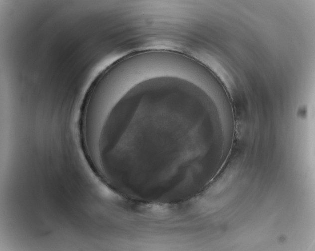 X0000103960995200809191507