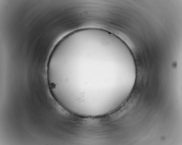 X0000103960996200809191507