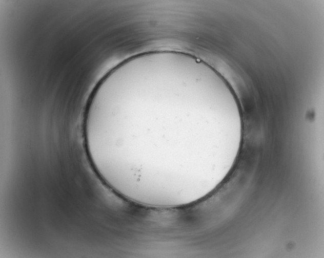 X0000103960997200809191507
