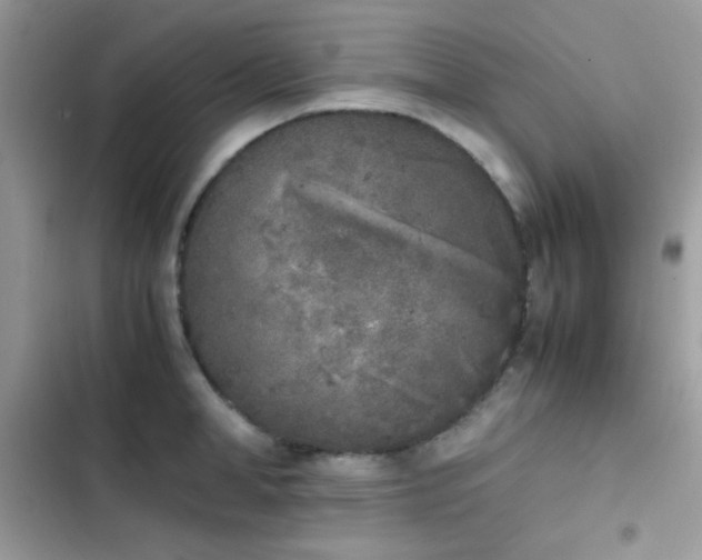 X0000103960998200809191507