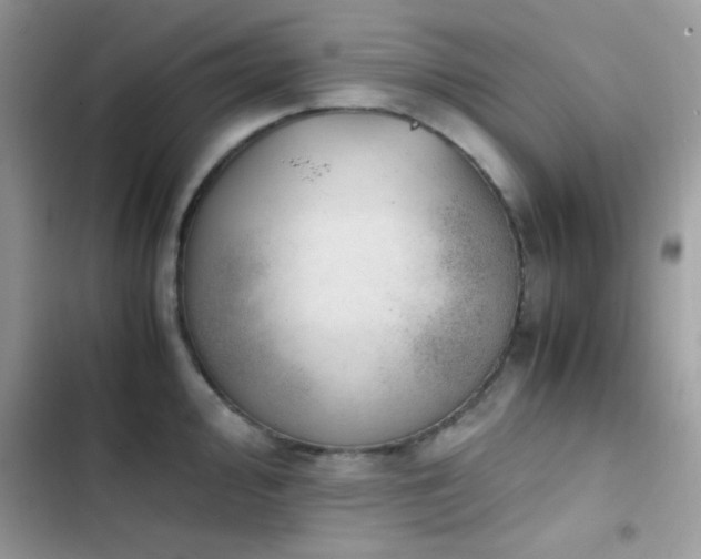 X0000103961000200809191507