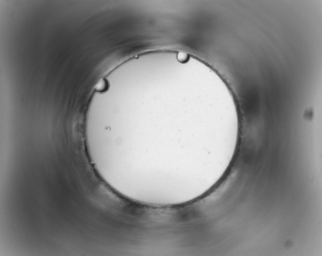 X0000103961001200809191507
