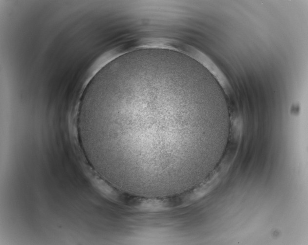 X0000103961002200809191507
