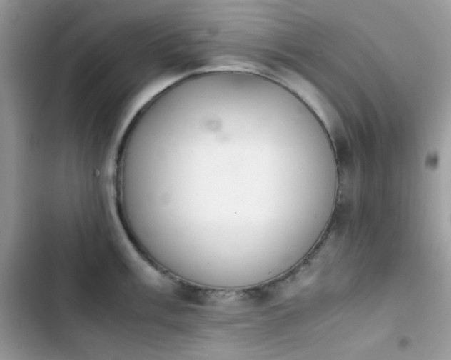 X0000103961003200809191507