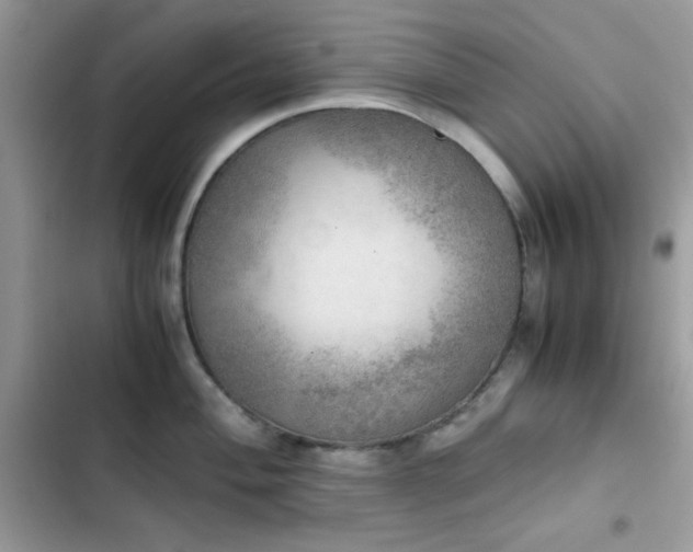 X0000103961004200809191507