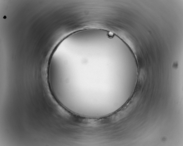 X0000103961005200809191507