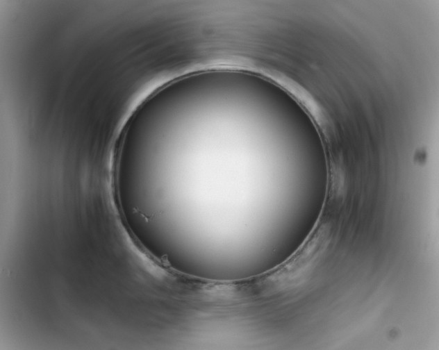 X0000103961006200809191507