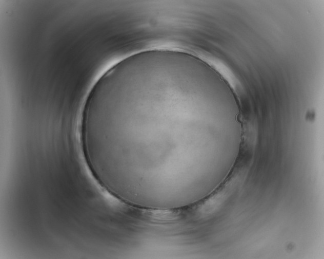 X0000103961007200809191507