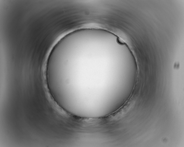 X0000103961008200809191507