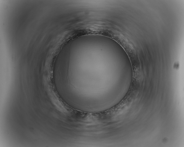 X0000103961009200809191506